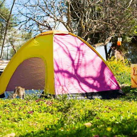 Camping Panorama Hotell Ouazzane Exteriör bild